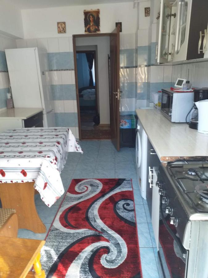 Apartament Aurora Slanic Moldova Exterior photo