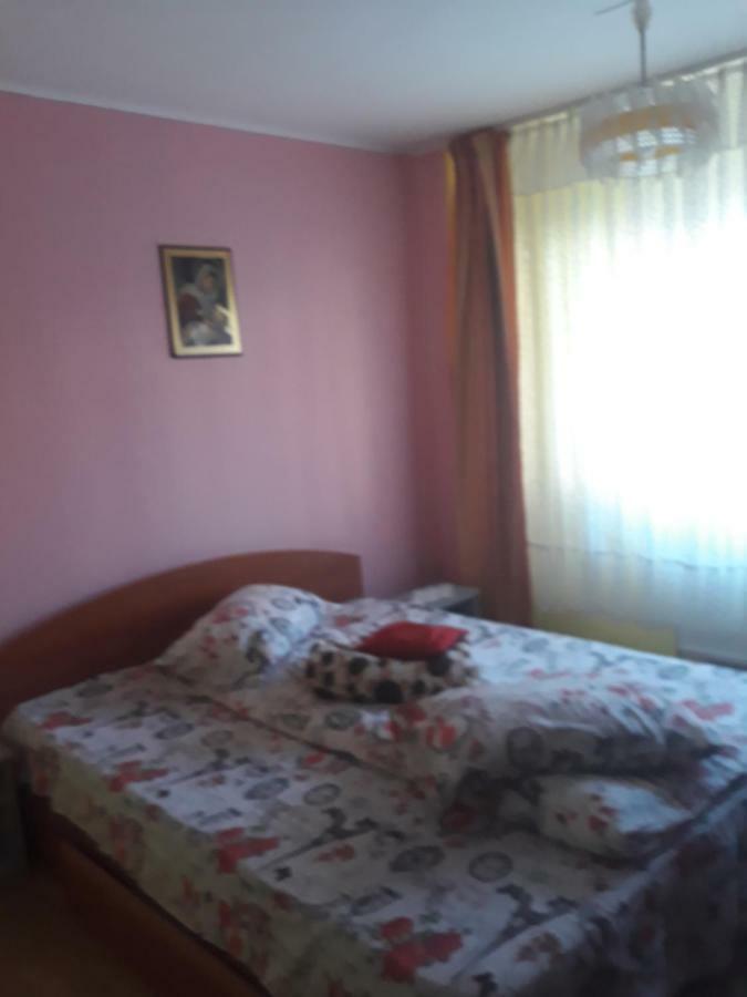 Apartament Aurora Slanic Moldova Exterior photo
